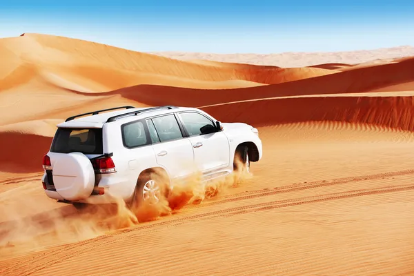 Emergency Desert Rescue Team in Action